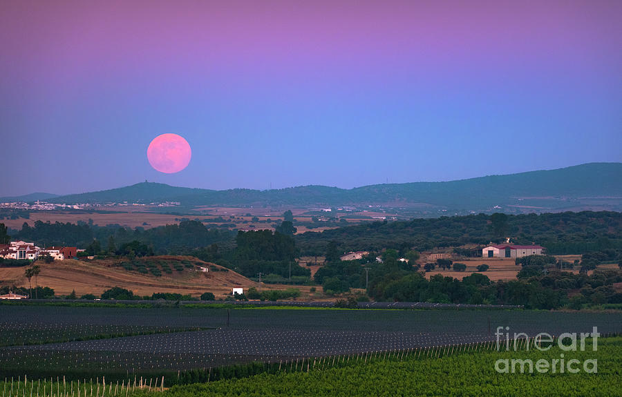 Rising Full Moon Photograph by Miguel Claro/science Photo Library
