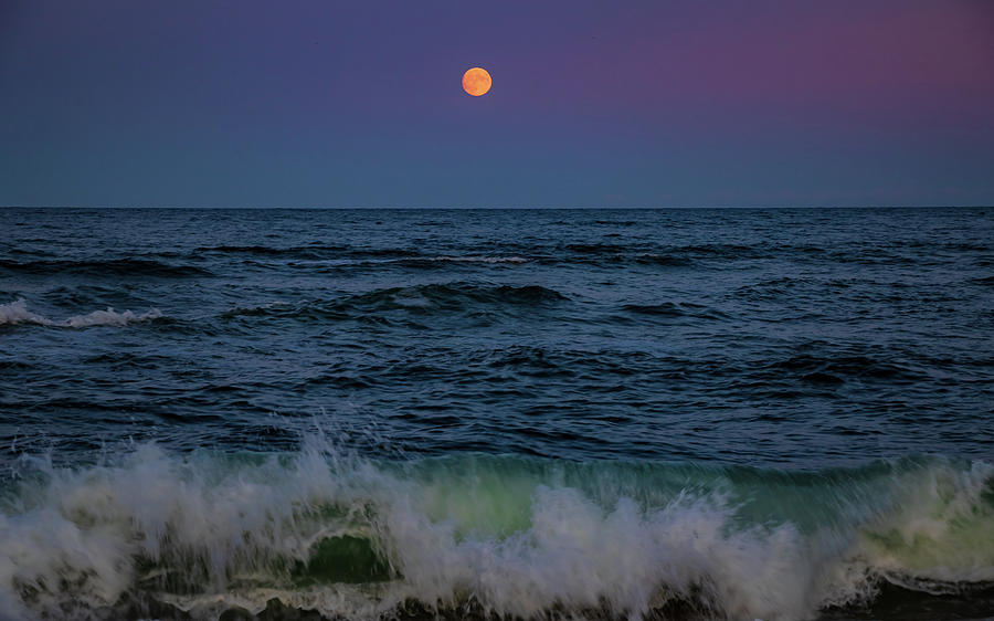 Rising Harvest Moon Photograph by Kristine Patti Fine Art Photography ...