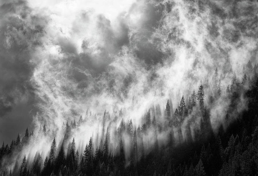 Rising Mist 3 Photograph by Thomas Haney - Fine Art America