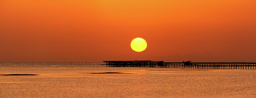 Rising sun in Nabq Bay Photograph by Sun Travels