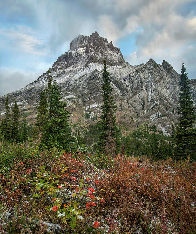 Rising Wolf Mountain, Glacier National Park, Montana Photograph by Tim