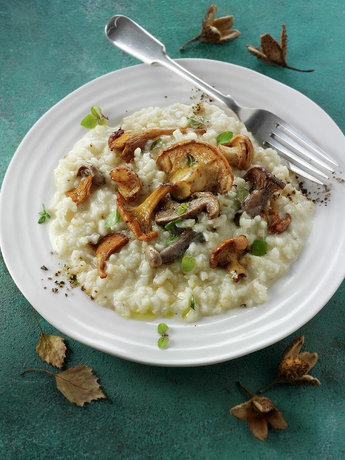Risotto With Forest Mushrooms Photograph by Paul Williams