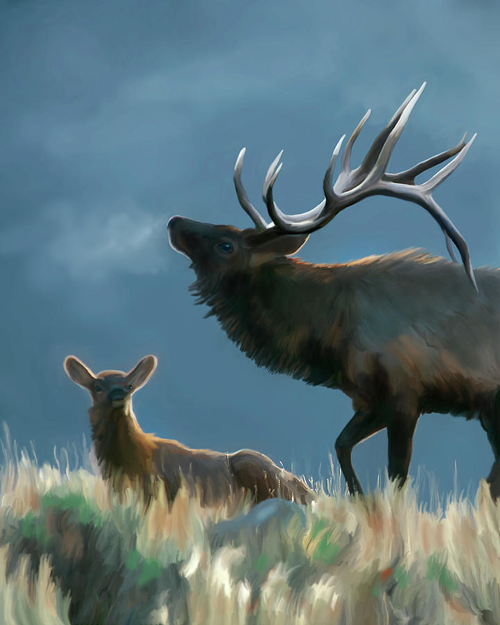 Rites of Fall- Elk by Mark Miller Rites of Fall- Elk by Mark Miller