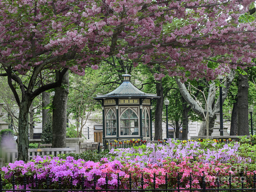 Rittenhouse In Spring Photograph By Stacey Granger - Fine Art America