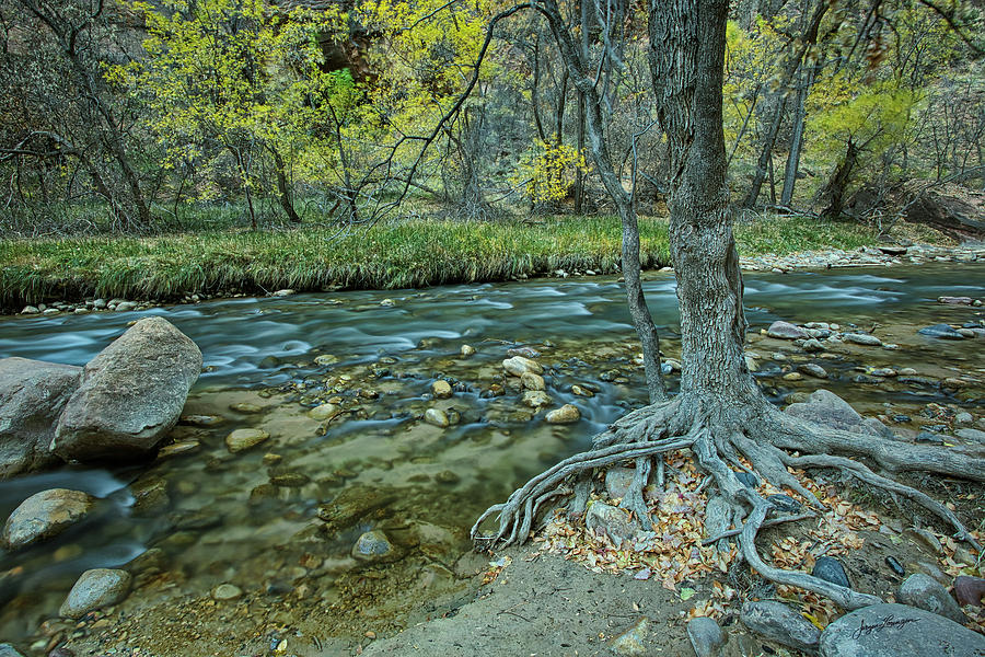 River, Rocks and Roots Photograph by Jurgen Lorenzen