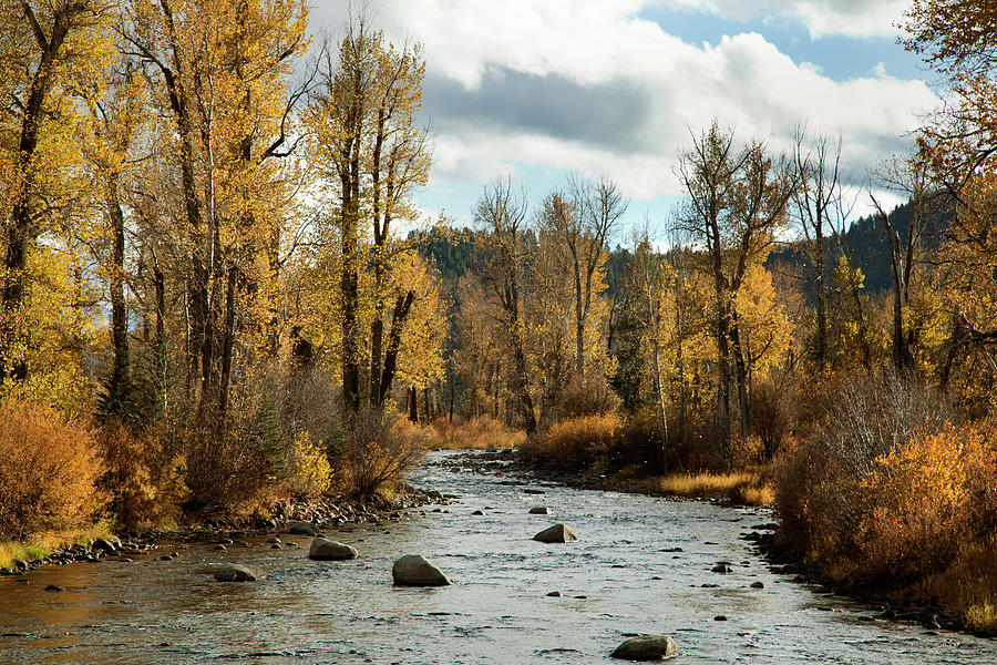 River And Golden Leafed Trees Photograph by Andrew Geiger