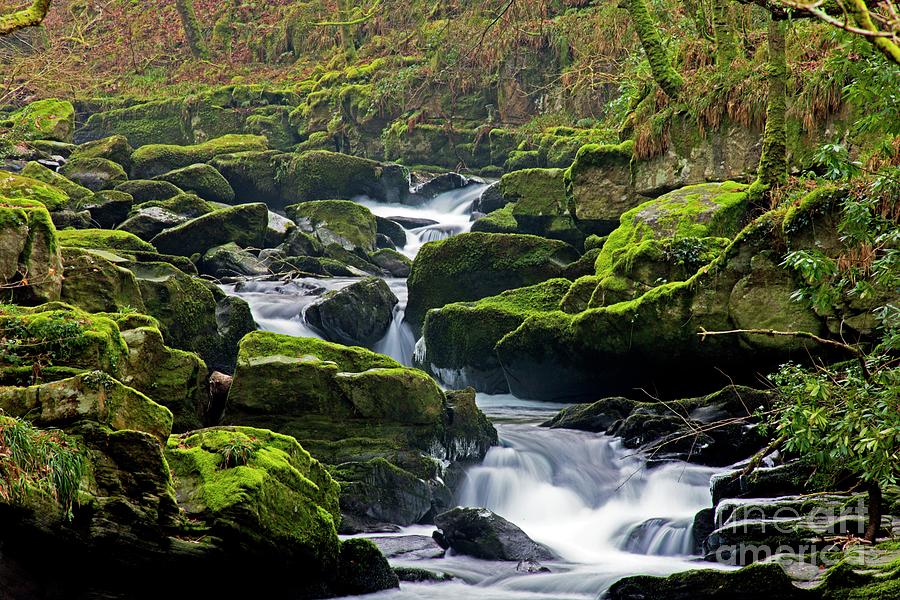River And Moss-covered Boulders Photograph by Dr Keith Wheeler/science Photo Library