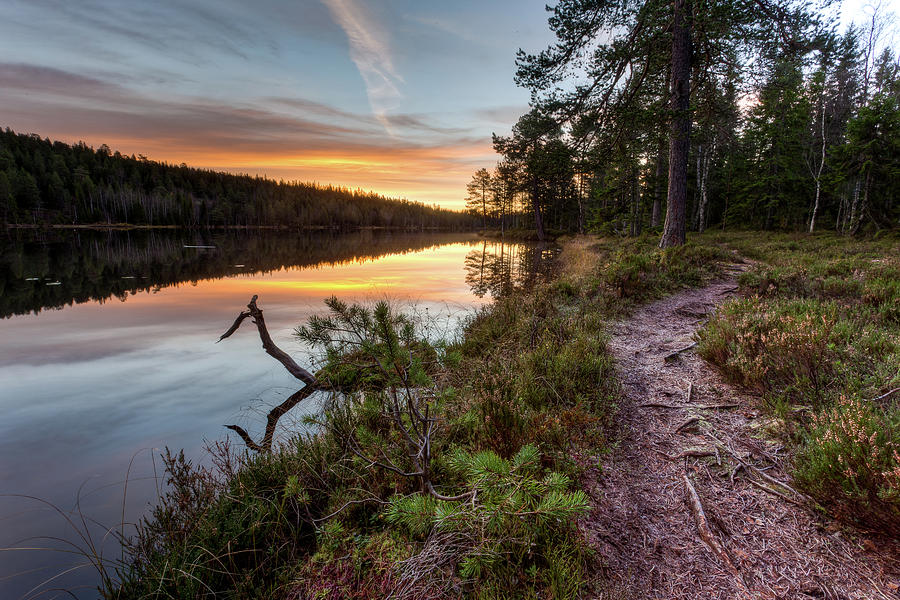 River At Sunrise Photograph by Photo By Morten Prom Www.mortenprom.no