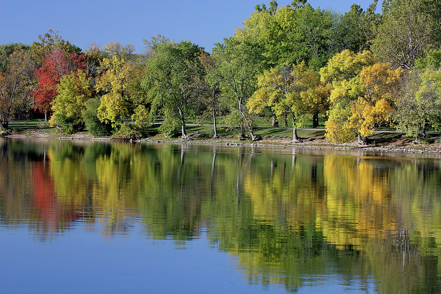 River Bank Trees In The Fall Photograph by Stevegeer