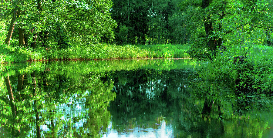 River bend in the green Spreewald Photograph by Sun Travels