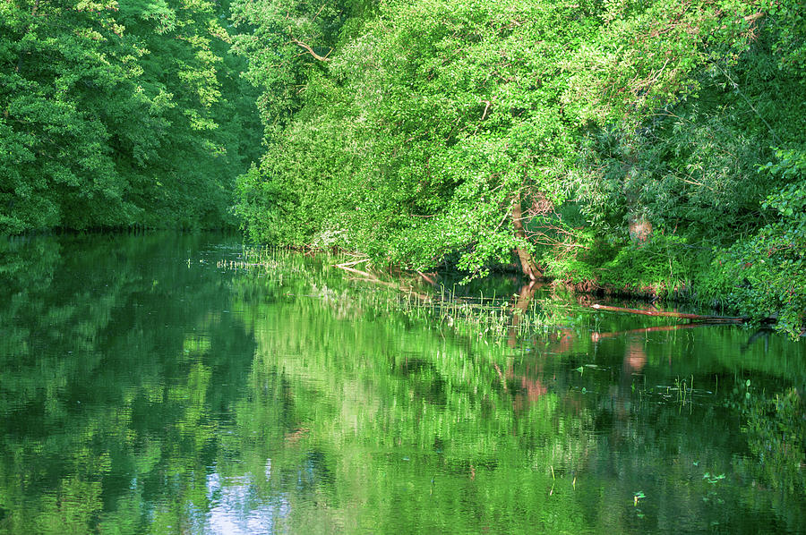 River bend in the Spreewald Photograph by Sun Travels