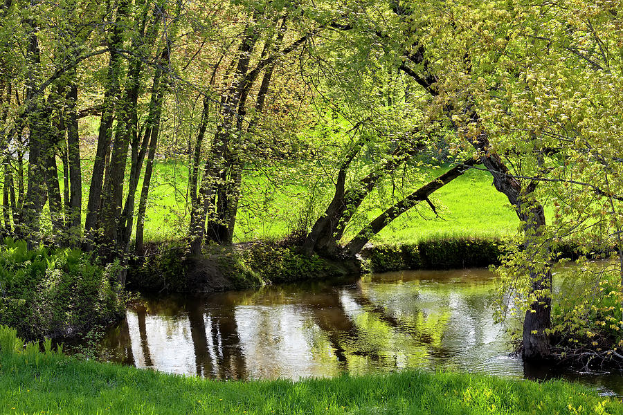 River Bend Spring Photograph by Alan L Graham