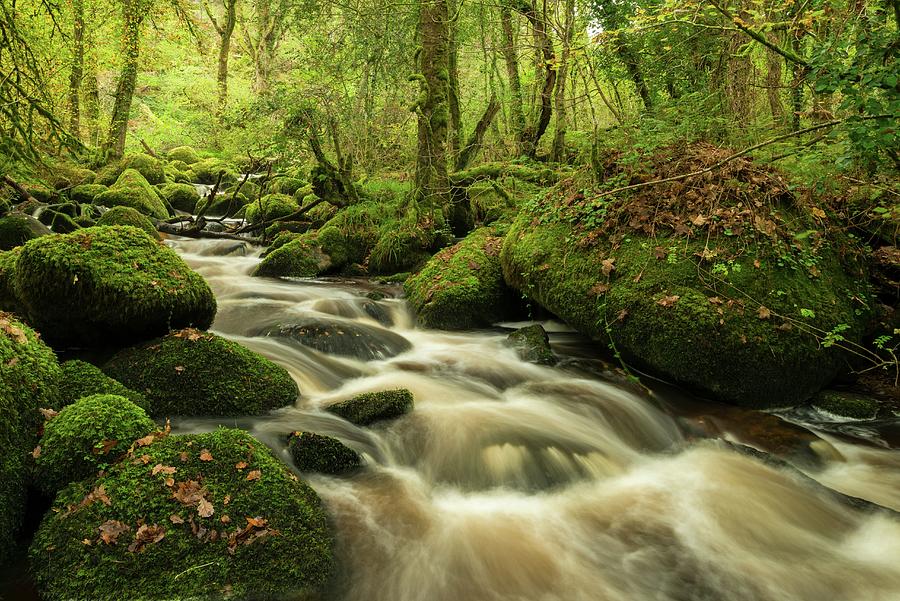 River Bovey In Houndtor Wood Photograph by Craig Joiner - Fine Art America