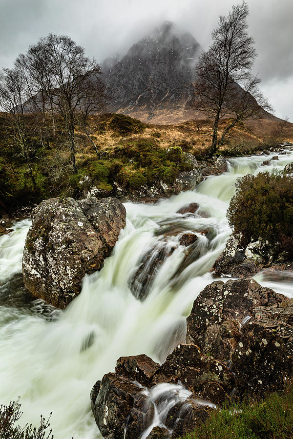 Tree Photograph - River Coupall In Torrent by Diarmid Weir