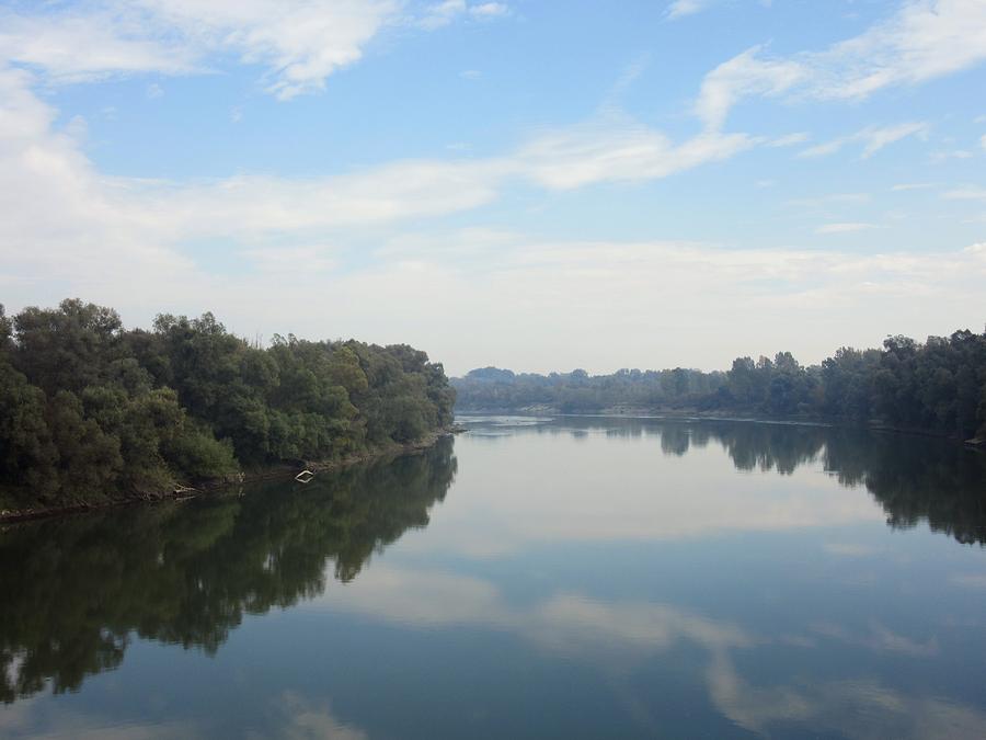 River Drava Photograph by Vesna Martinjak