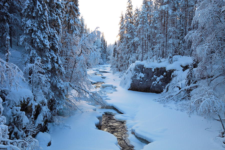 River flowing through snowy forest Photograph by Intensivelight