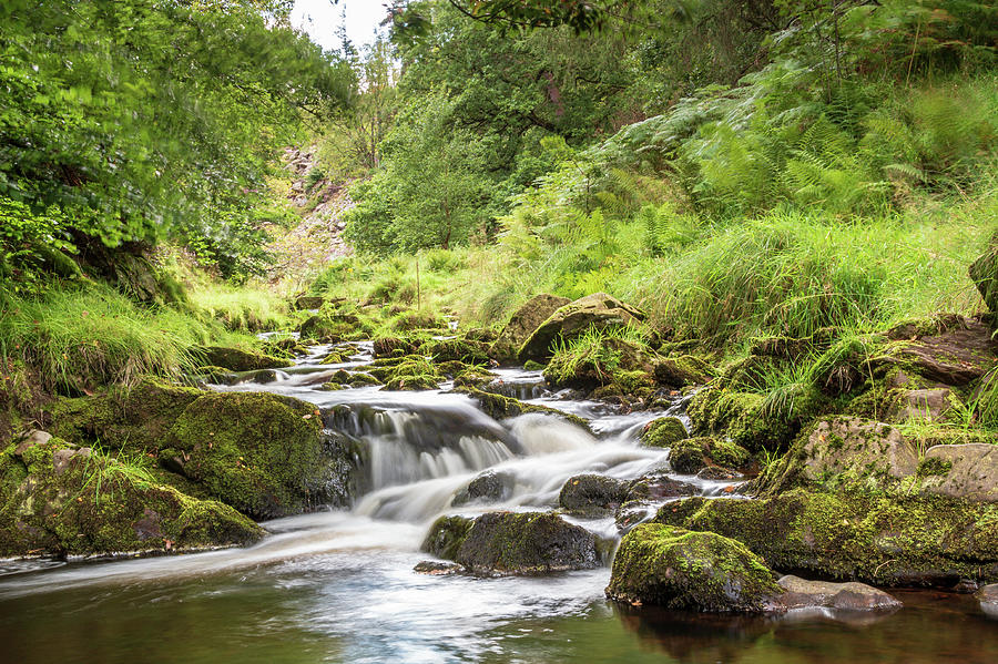 River Goyt in the Goyt Valley, Derbyshire Photograph by Chris Warham ...