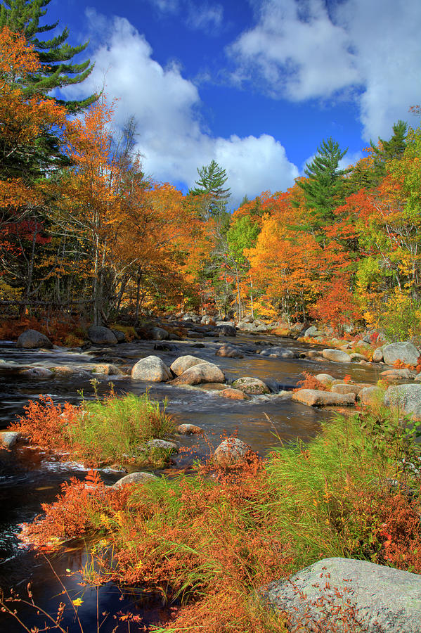 River In Autumn 1 Photograph by Cworthy