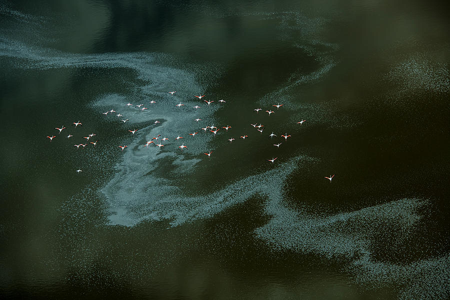 River In The Lake Photograph by Hao Jiang
