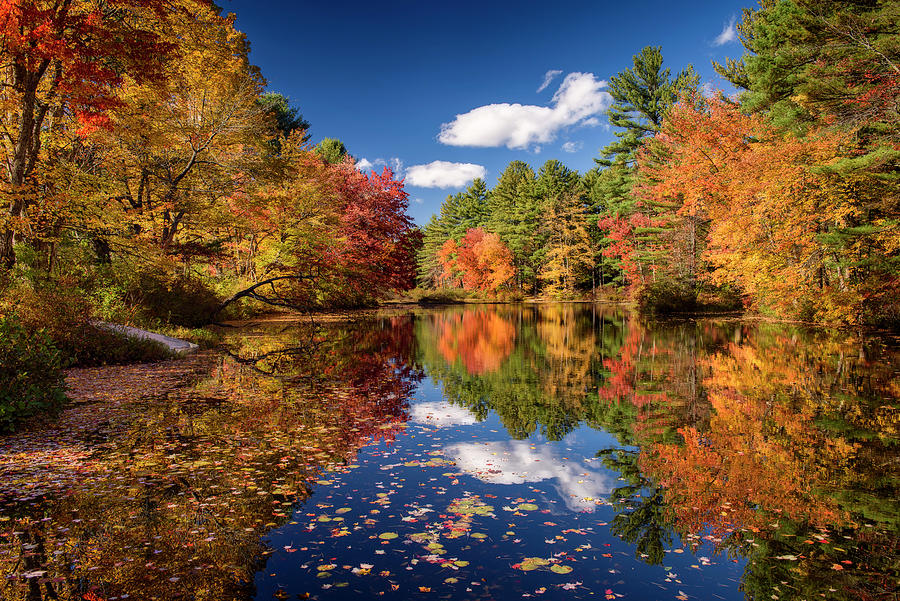 River Mirage Photograph by Michael Blanchette Photography - Fine Art ...