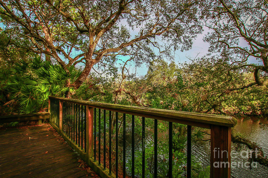 River Railing Photograph by Tom Claud