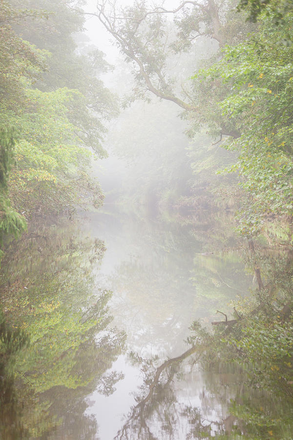 River reflections on a misty morning Photograph by Anita Nicholson