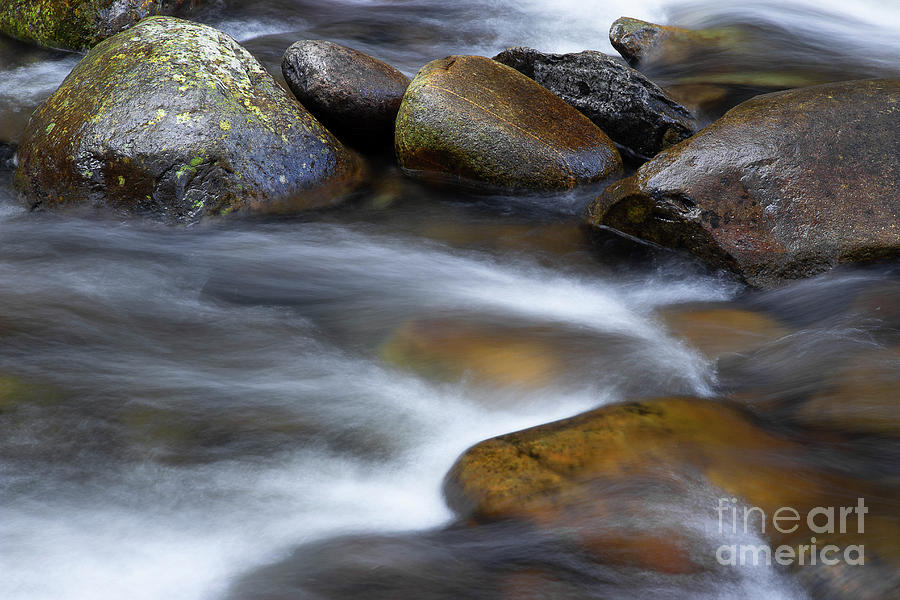 River Photograph - River Rock by Mike Eingle