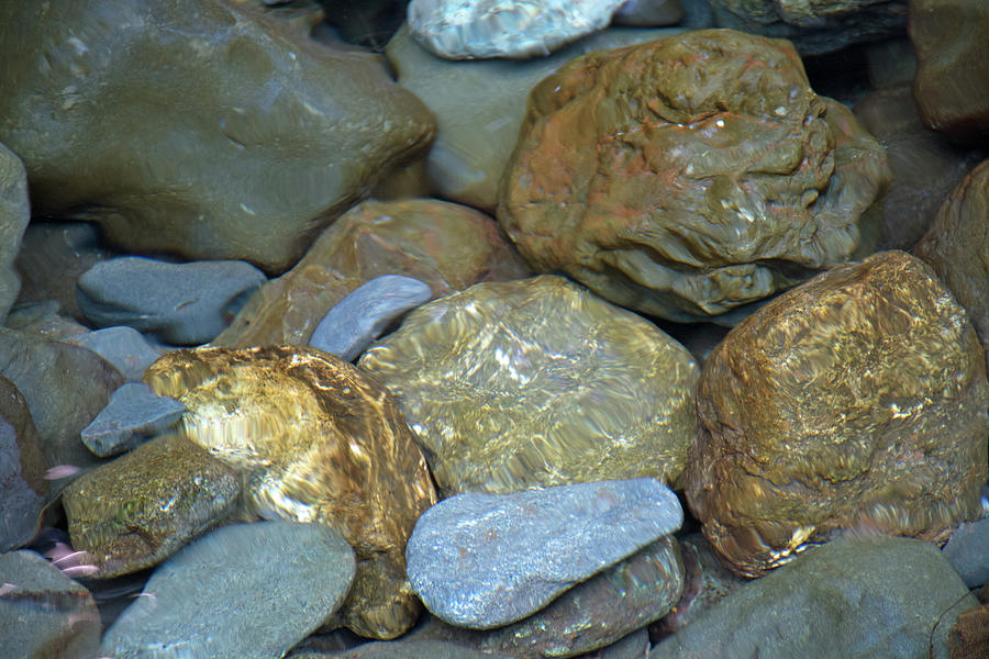 River Rocks in Olympic National Park Photograph by Bruce Gourley