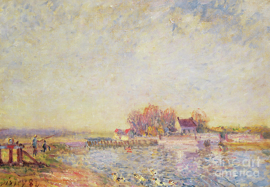 River Scene with Ducks, 1881 Painting by Alfred Sisley