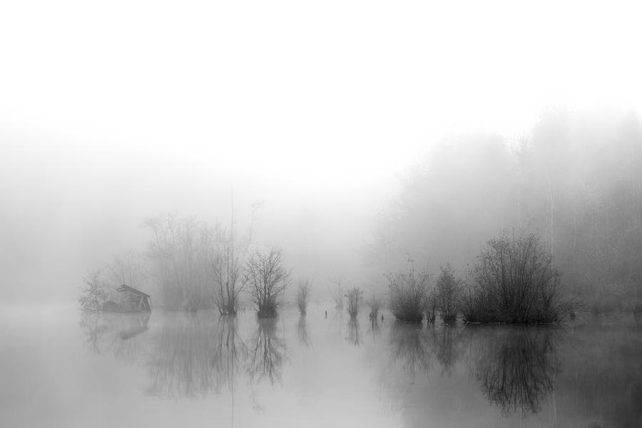 River Styx Photograph by Radek Pohnan - Fine Art America