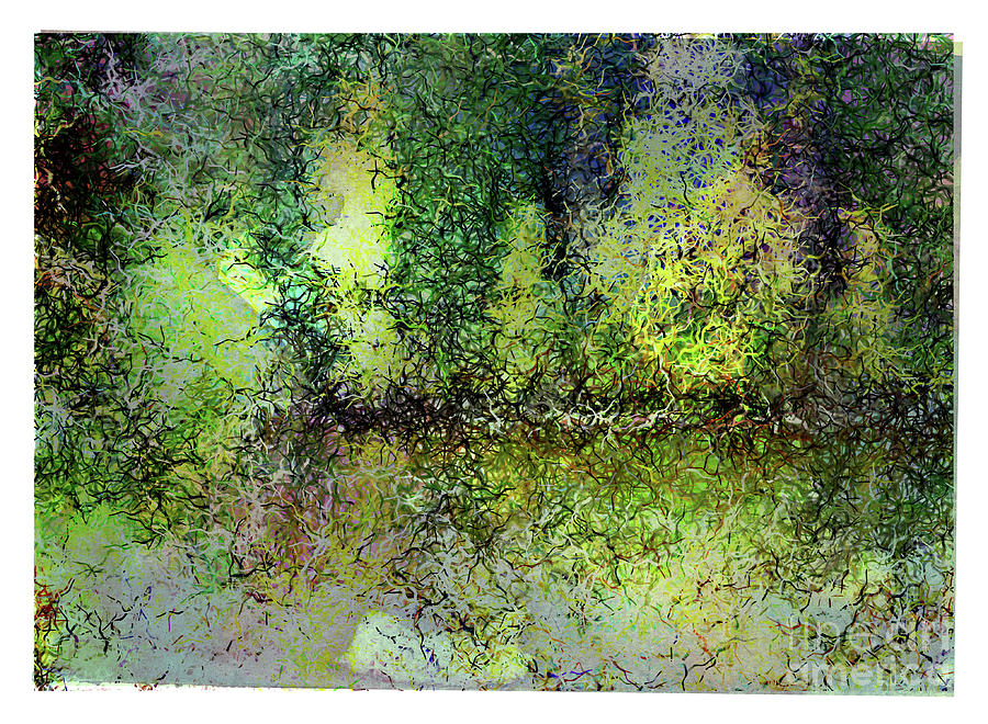 River Trees Digital Art by Deb Nakano
