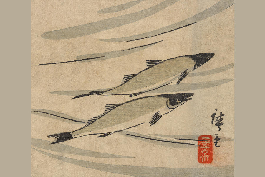 River Trout (Ayu zu) Painting by Utagawa Hiroshige River Trout (Ayu zu) Painting by Utagawa Hiroshige