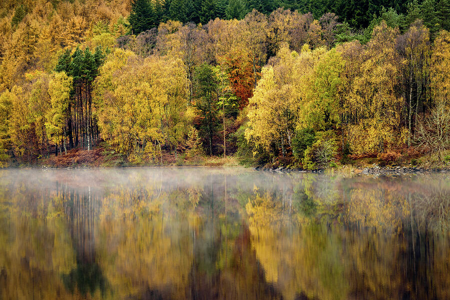 River Tummel Autumn Trees by Dave Bowman River Tummel Autumn Trees by Dave Bowman