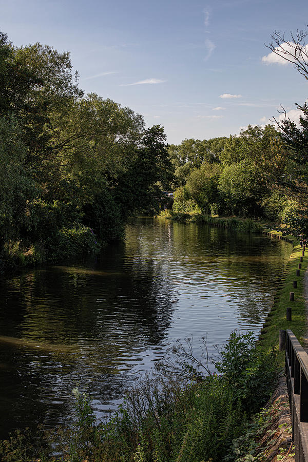 River Wey Photograph by Mark Fuller - Fine Art America