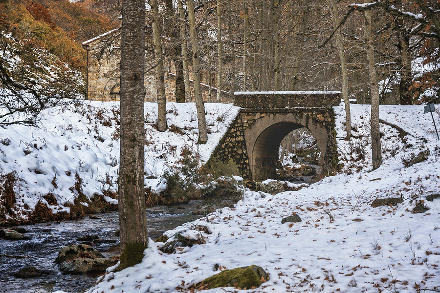 Winter Photograph - River With A Snowy Bridge Surrounded By Trees by Cavan Images