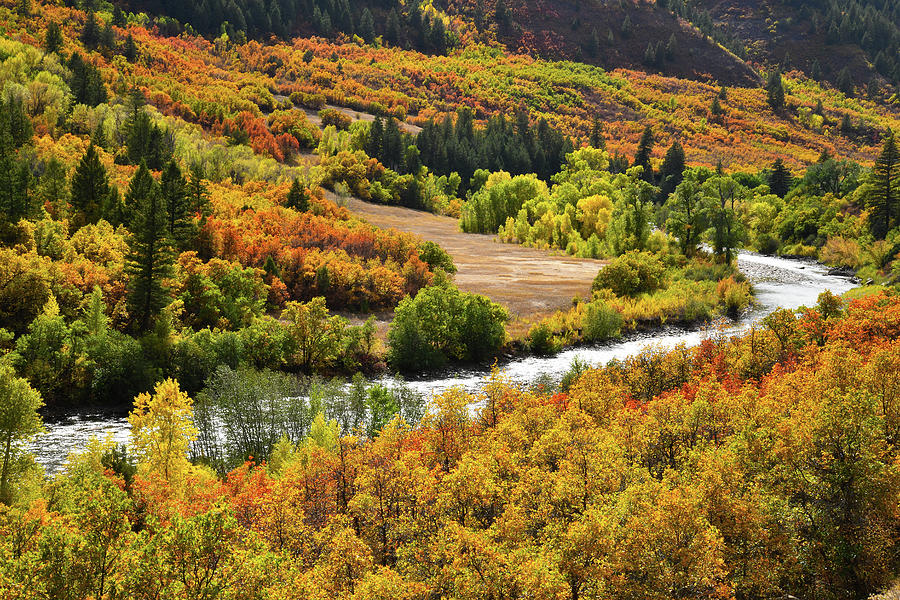 Riverside Fall Colors along Highway 133 Photograph by Ray Mathis