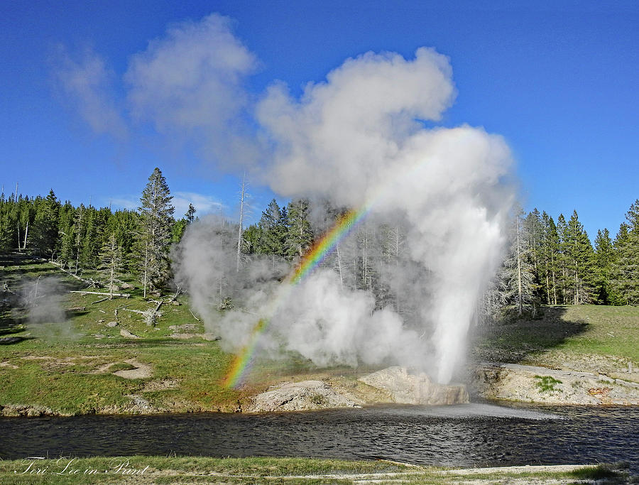 Riverside Geyser by Teri Lee Riverside Geyser by Teri Lee
