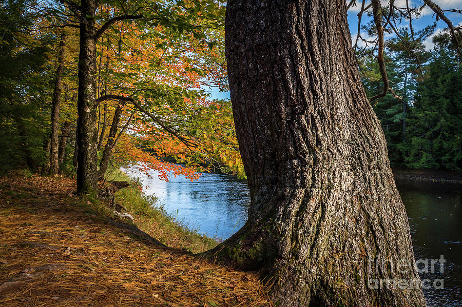 Riverside of Stewiacke River Park, Nova Scotia Photograph by Mike Organ ...