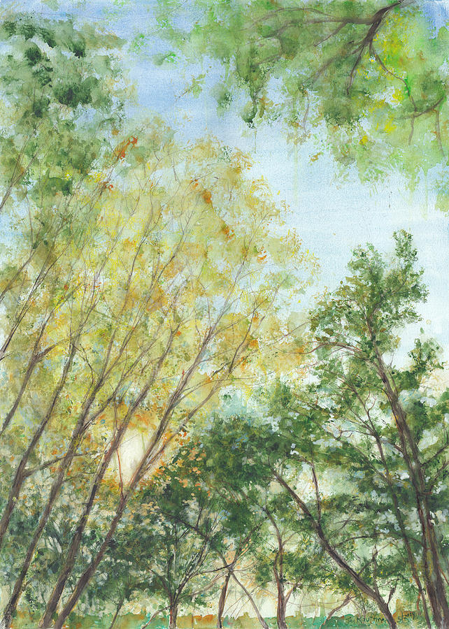 Watercolor Painting - Riverside Park Trees 1 by Jay Kauffman