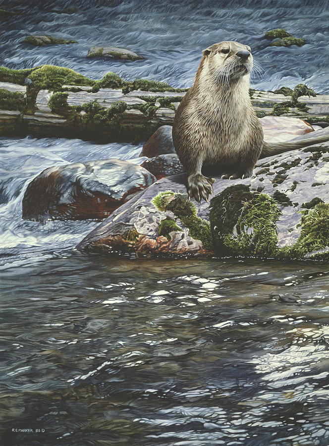 Riverside Pause- River Otter Painting by Ron Parker