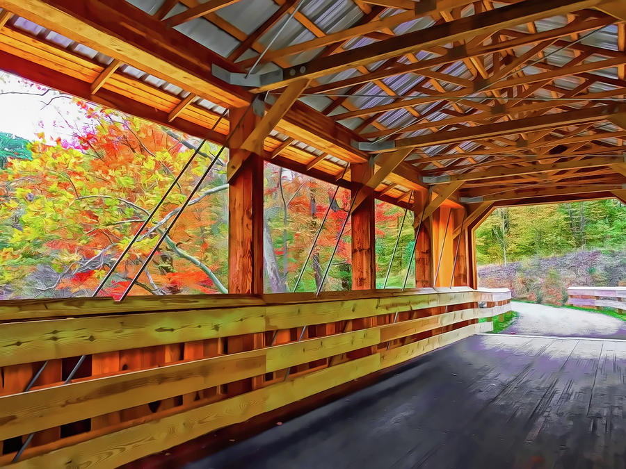 Riverview Covered Bridge Photograph by Susan Hope Finley