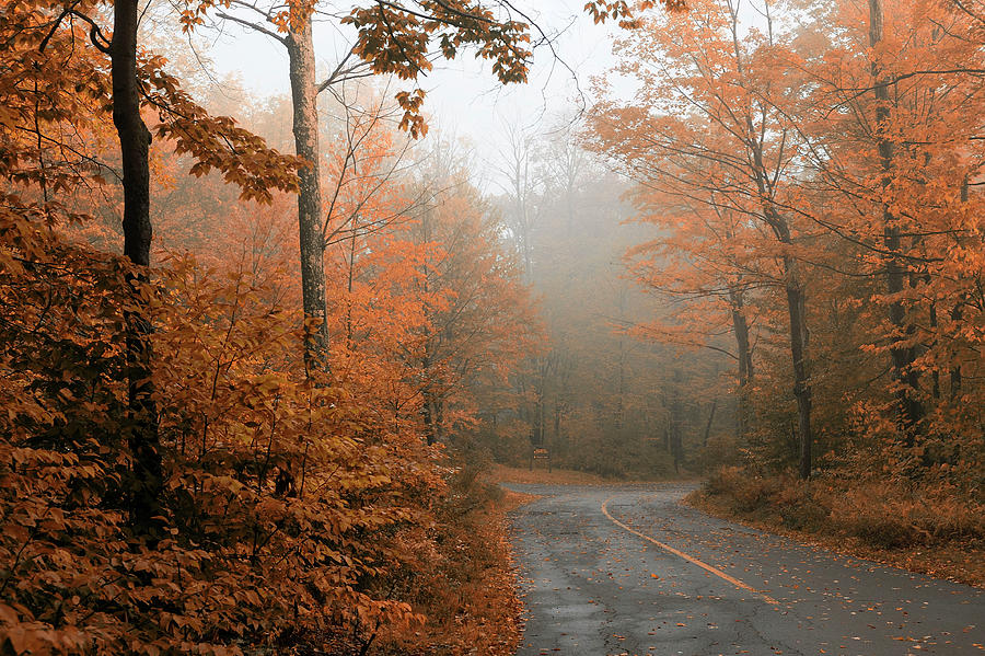 Road & Fog, Fall Foliage, Pennsylvania Digital Art by Heeb Photos - Pixels