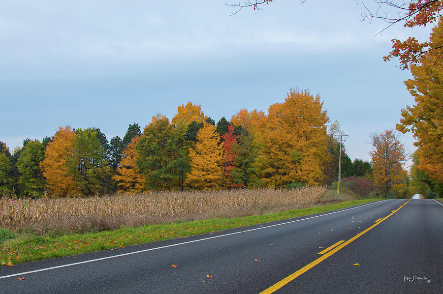 Road Autumn Colors 2 Photograph by Ken Figurski