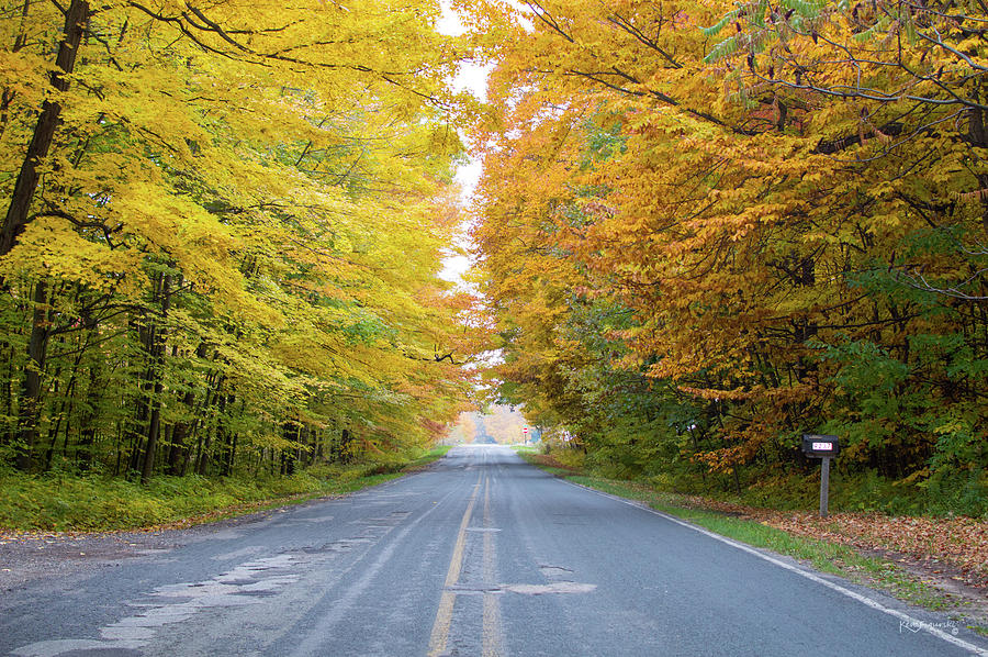 Road Autumn Colors Photograph by Ken Figurski