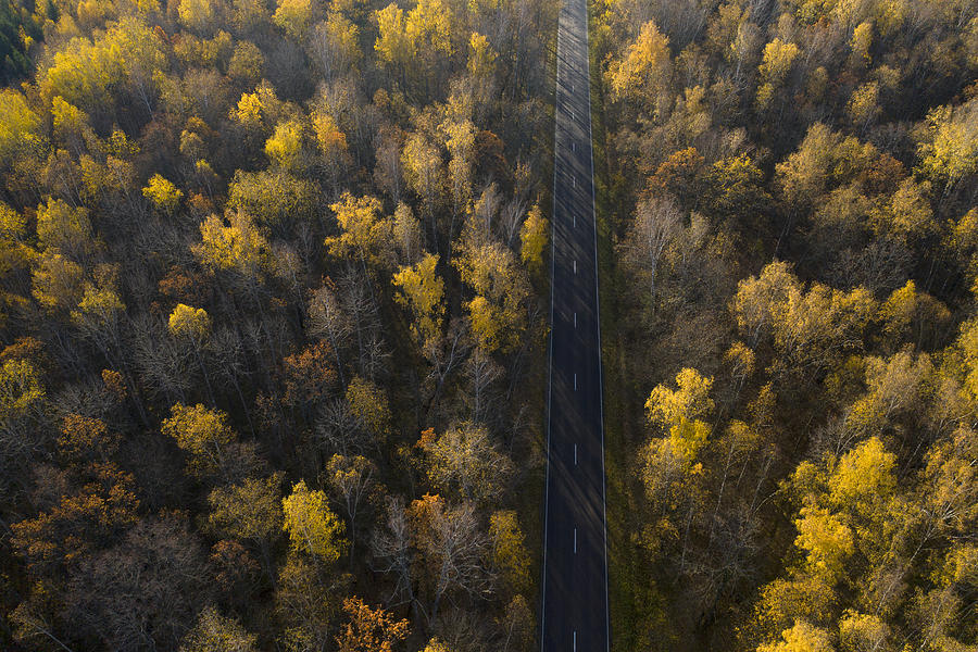 Road Photograph by Dmitry Doronin