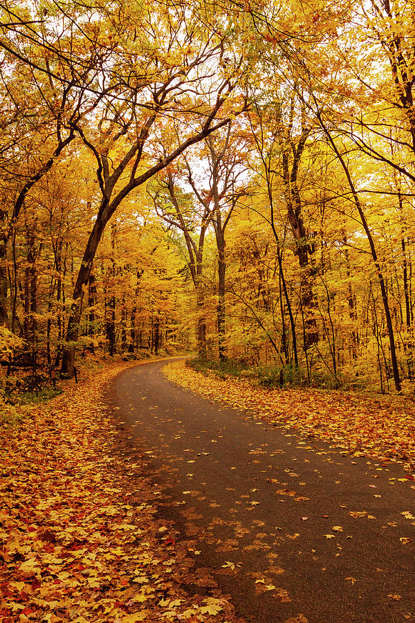 Road During Fall at Devil’s Lake State Park Photograph by Matthew Kirsch