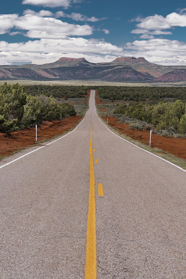 Road In Bears Ears Natl Monument Photograph by Jeff Foott