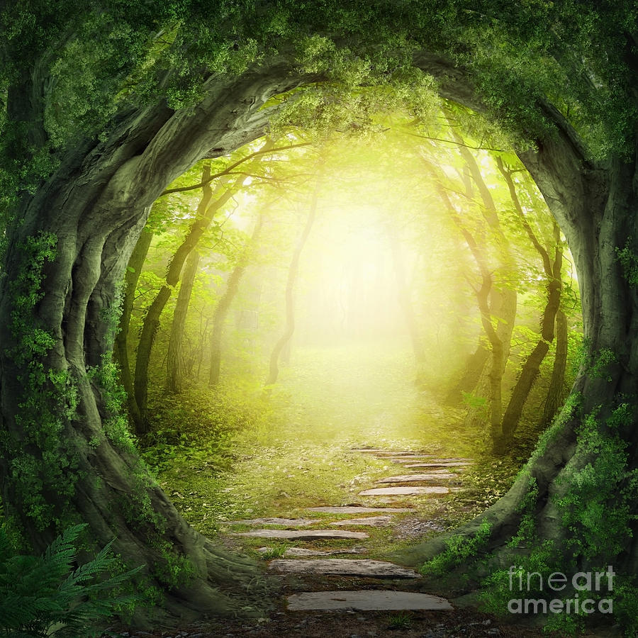 Magic Photograph - Road In Magic Dark Forest by Elena Schweitzer Magic Photograph - Road In Magic Dark Forest by Elena Schweitzer