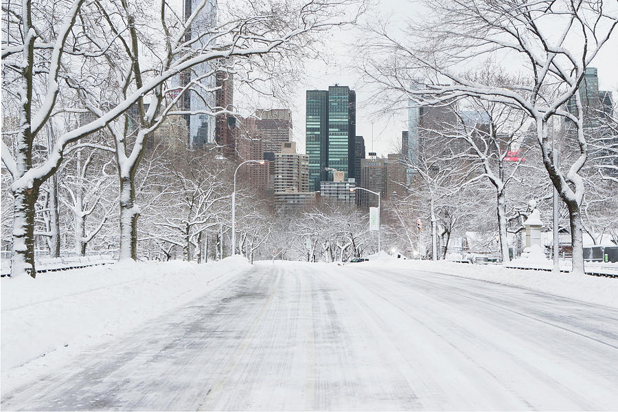 Road In Snowy Urban Park Digital Art by Ditto - Fine Art America