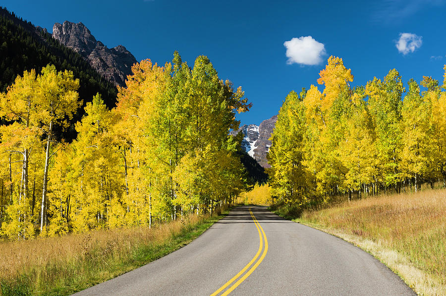 Road Leading To Maroon Bells In Autumn Photograph by Robert Cable